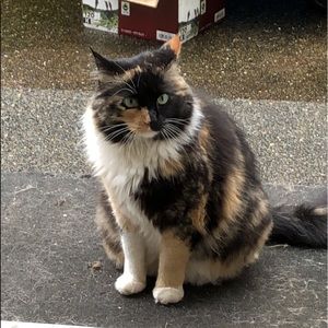 Meet your Posher, Nichelle